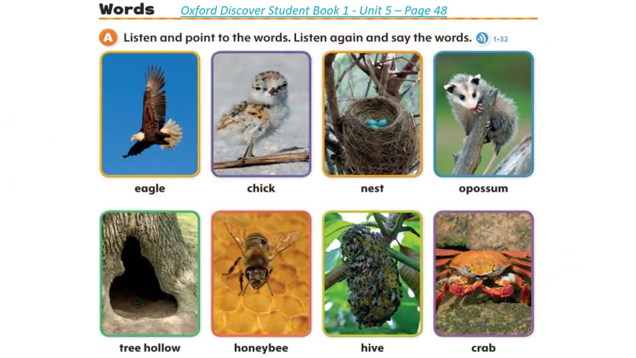 Oxford Discover Student Book 1   Unit 5  Animal Homes