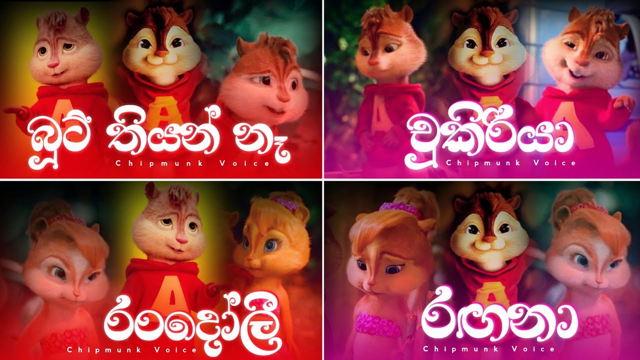 Hit Sinhala Song Collection | Chipmunk version | Slowed and Reverb | Visha Recodz