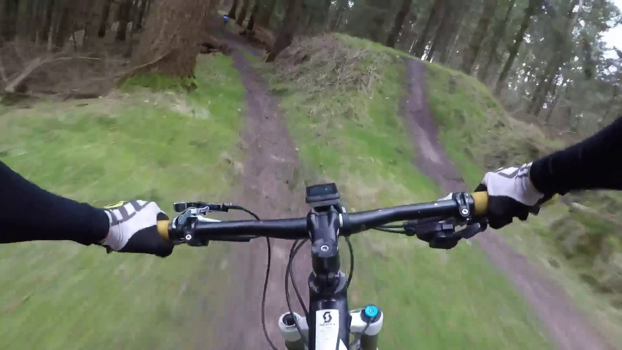 Rold Skov Downhill bane 2017