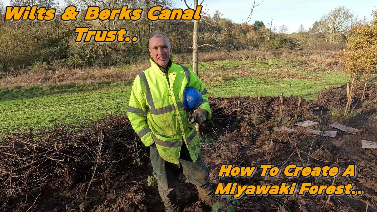 How To Create A Miyawaki Forest