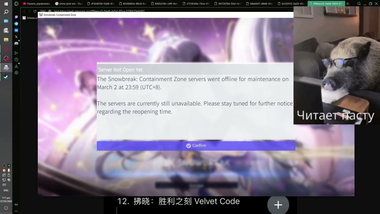 Как китайские феминистки на гачи напали и при чем здесь веб новеллы?  Ситуация с Snowbreak и Китаем