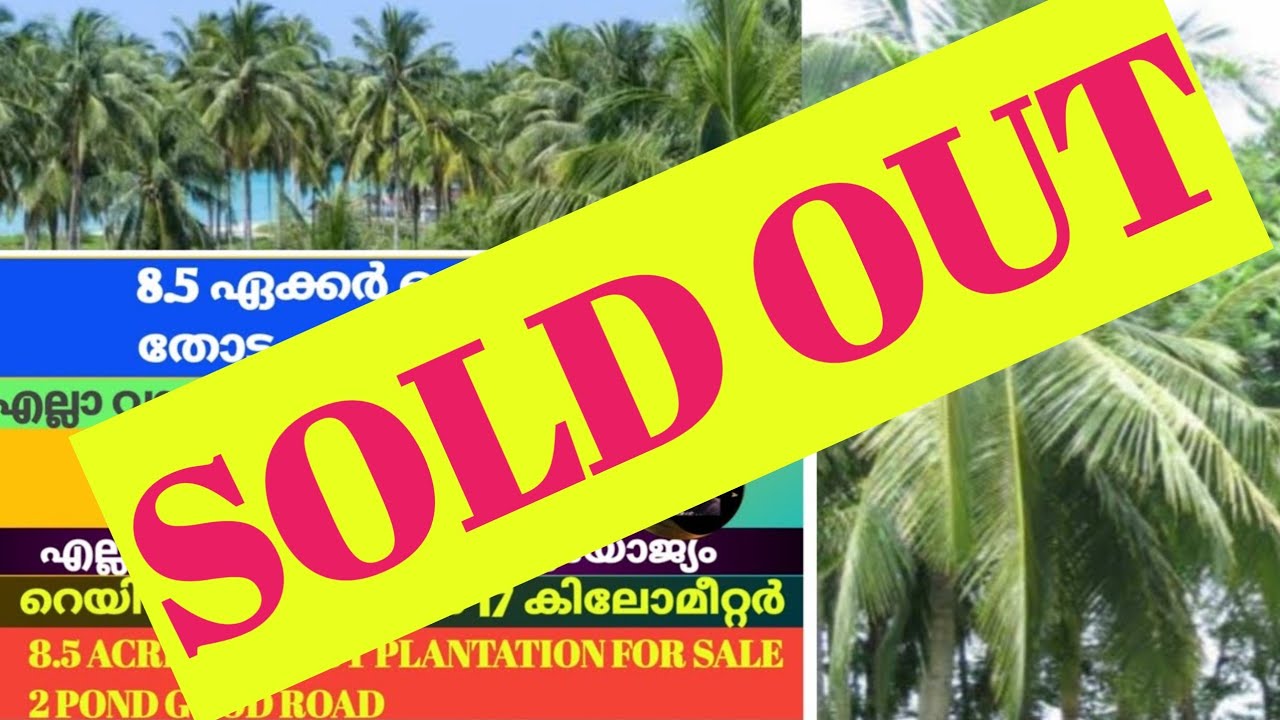 (SOLDOUT)8.5 acre coconut  plantation for sale
