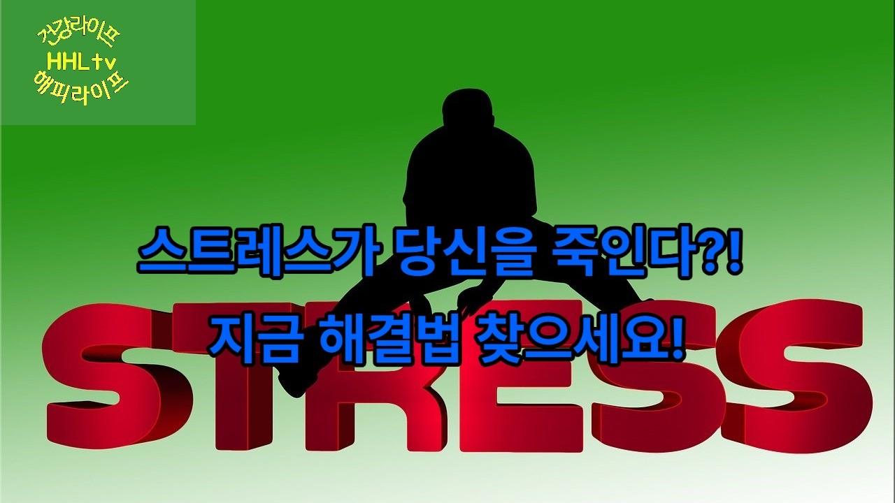 현대인의 소리 없는 살인자, 스트레스 완벽 관리법