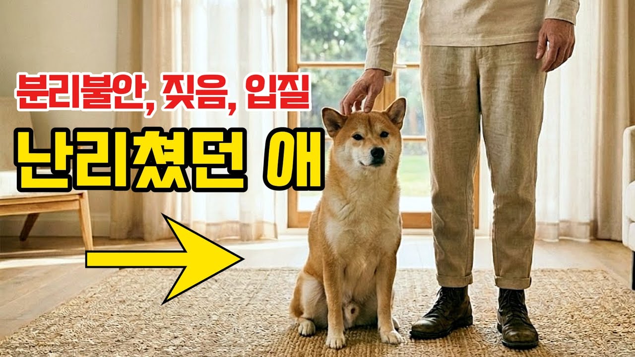 퇴근 후 10분 '이것'만 안 하면 증상이 사라집니다 👌