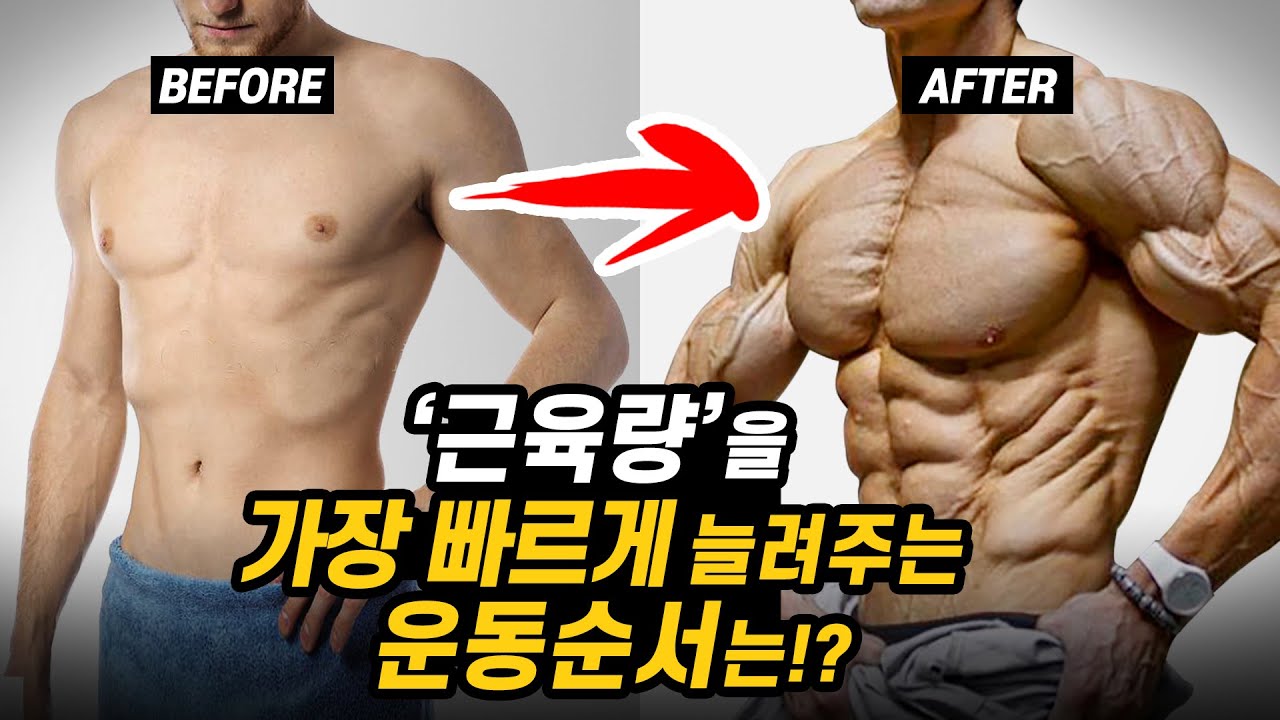 일반인의 '근육량'을 가장 빠르게 늘려주는 '운동순서'는?