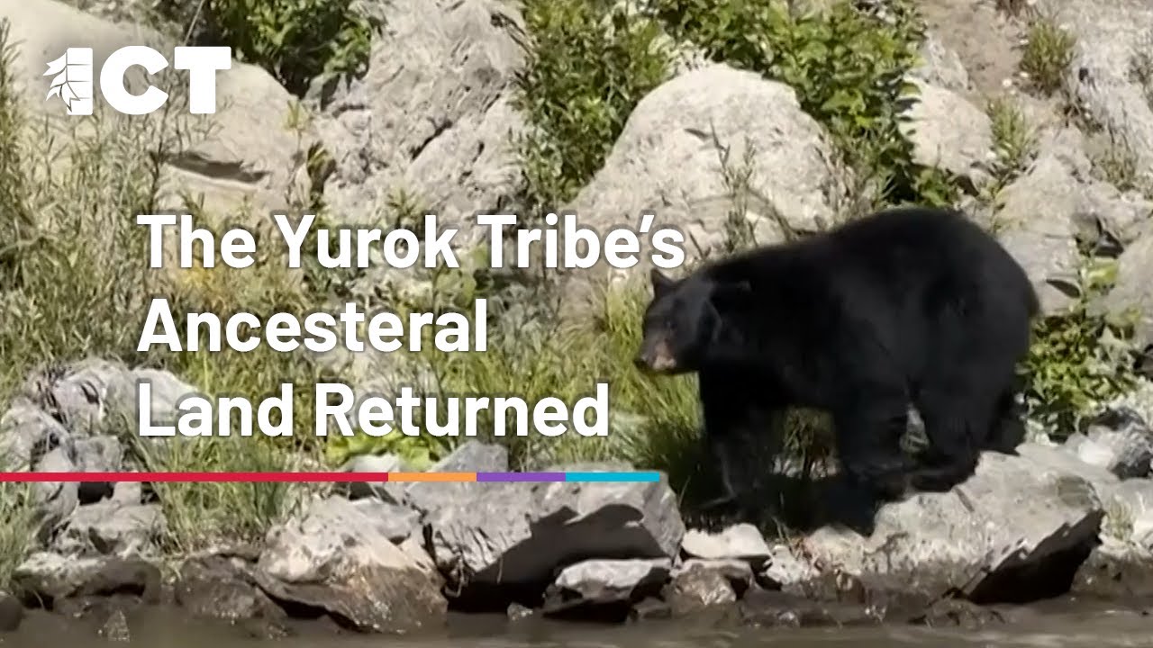 Yurok Tribe’s Ancestral Land Returned