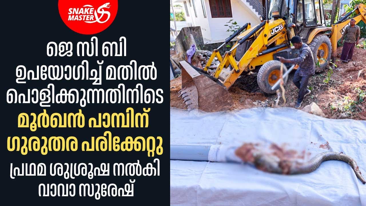 മൂർഖൻ പാമ്പിന് ഗുരുതര പരിക്കേറ്റു, രക്ഷകനായി വാവാ സുരേഷ് |  Vava Suresh | Snakemaster 1125