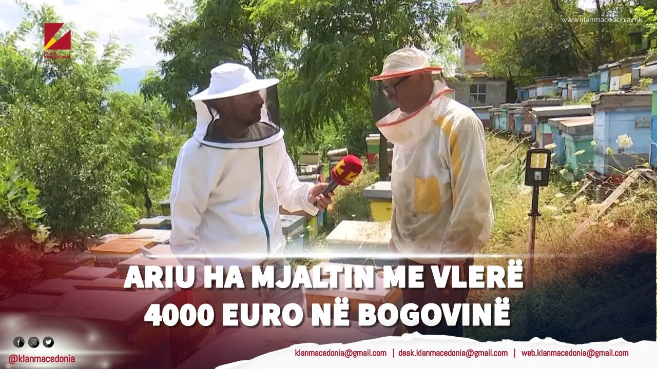 Ariu ha mjaltin me vlerë 4000 euro në Bogovinë