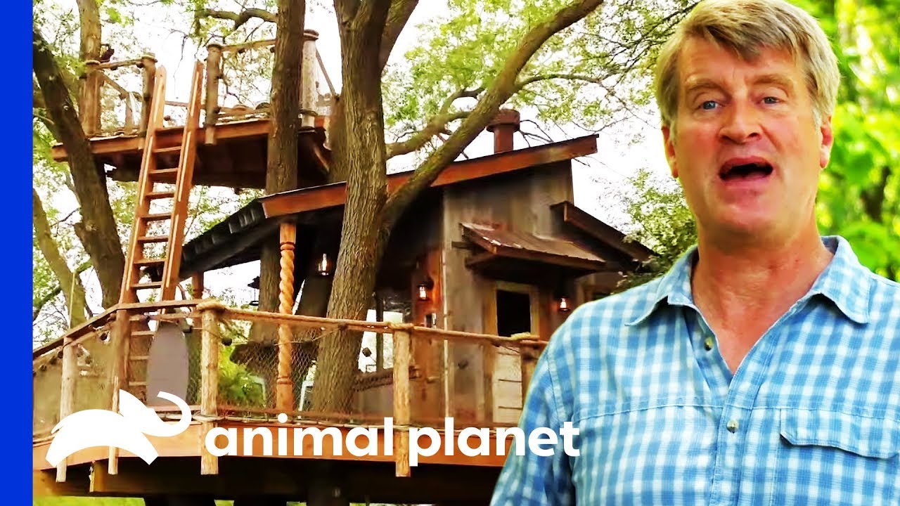 Building An Unbelievable Rustic River Treehouse | Treehouse Masters