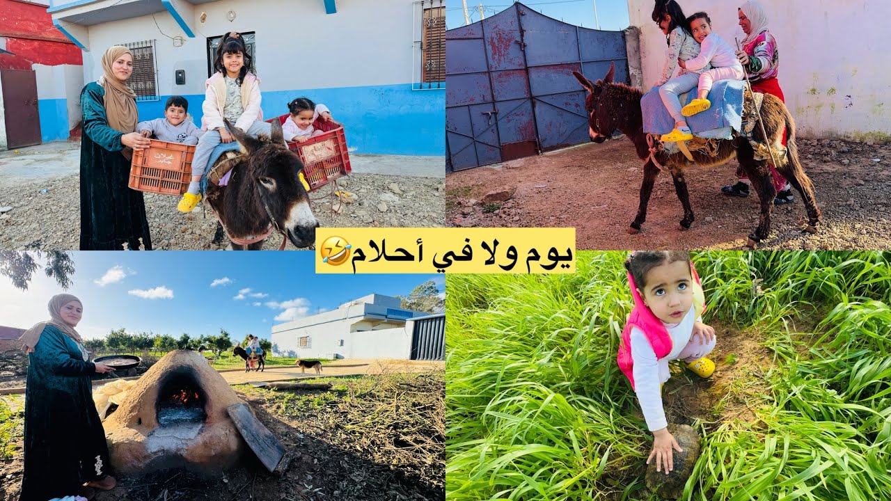 غير عيطات لينا مشيت نجري😂اجواء البادية هادئة 🥰البساطة والطاقة الإجابية✅فرحت لوليدات🤭