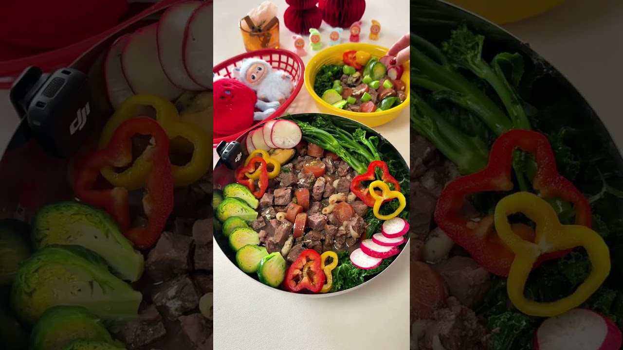 vlog.159 Double Dog Family immersive meal preparation#Immersive pet meal planning#Homemade