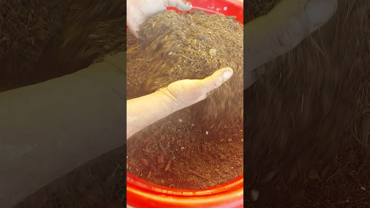 تحويل مخلفات النخيل إلى سماد عضوي الكمبوست