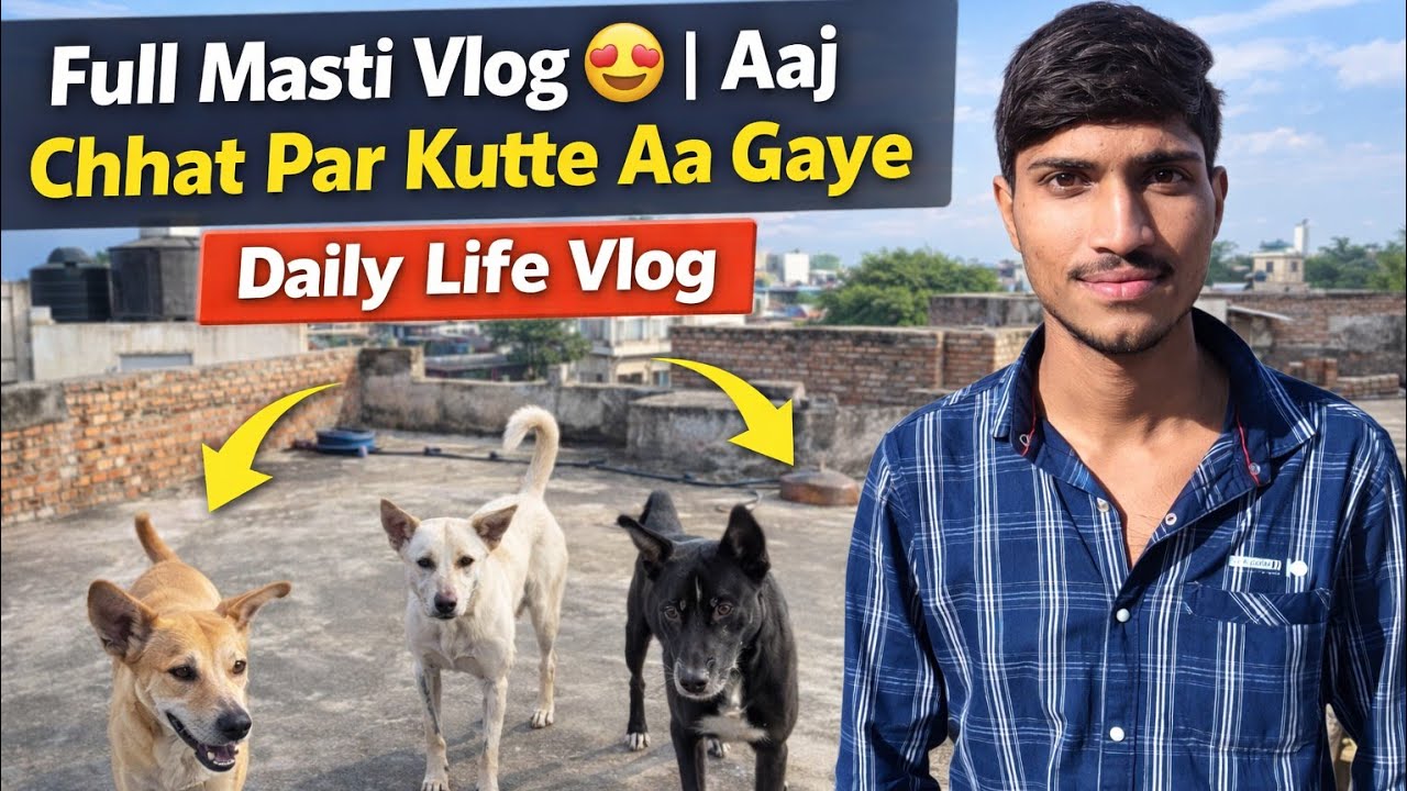 Full Masti Vlog 😍 | Aaj Chhat Par Kutte Aa Gaye | Daily Life Vlog