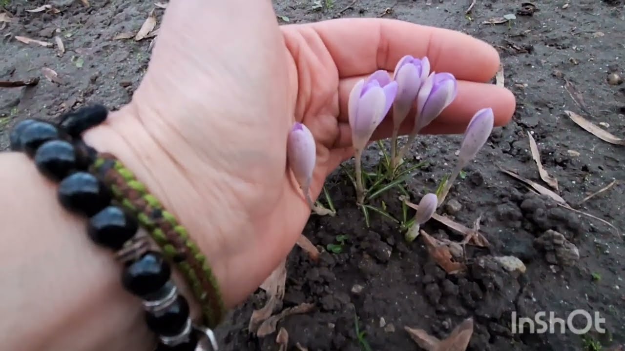 Грибы в феврале🤗