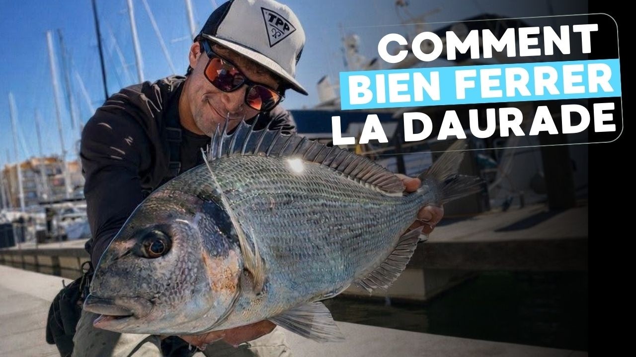 Когда ловить морского леща на крючок?