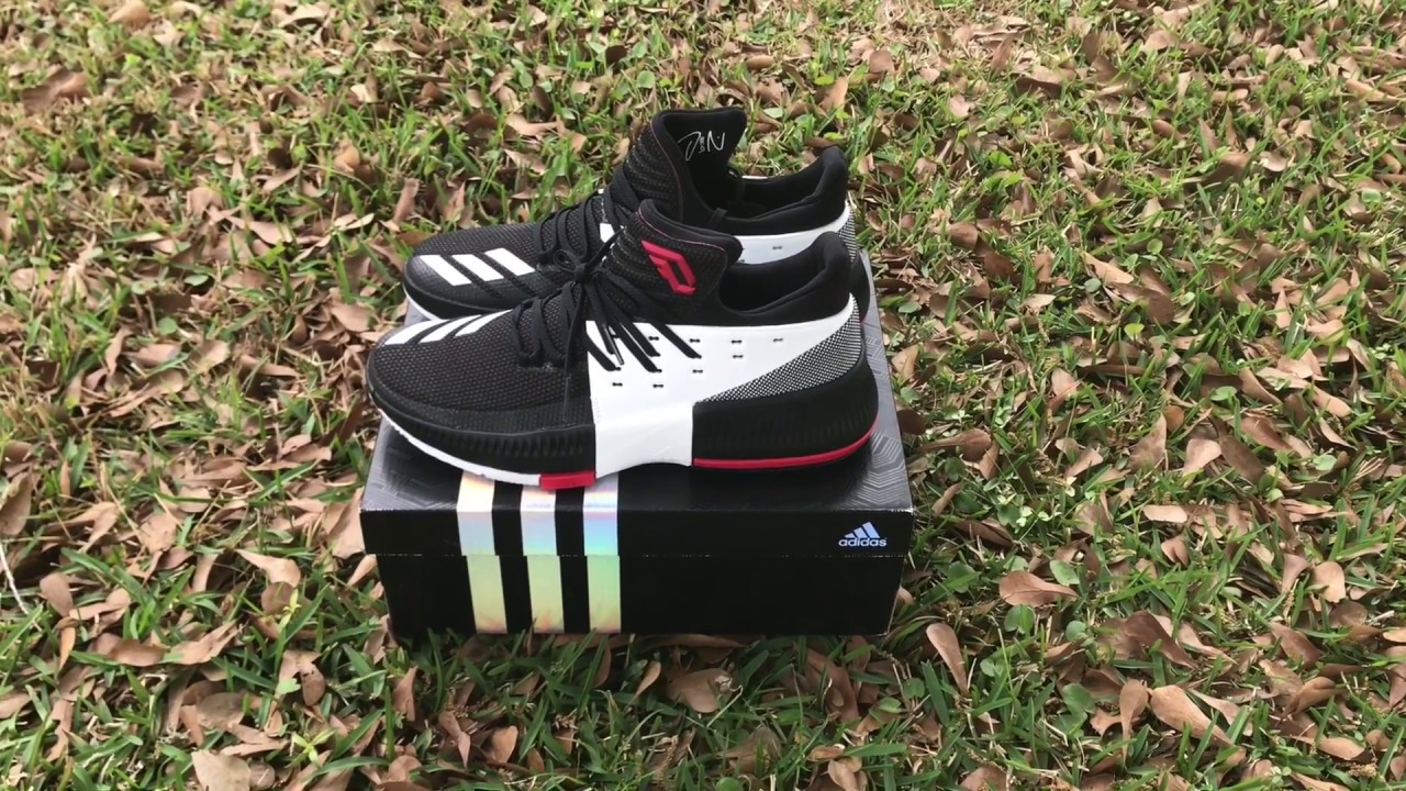 DAME 3 ON TOUR/ROAD DETAILED LOOK AND ON FOOT