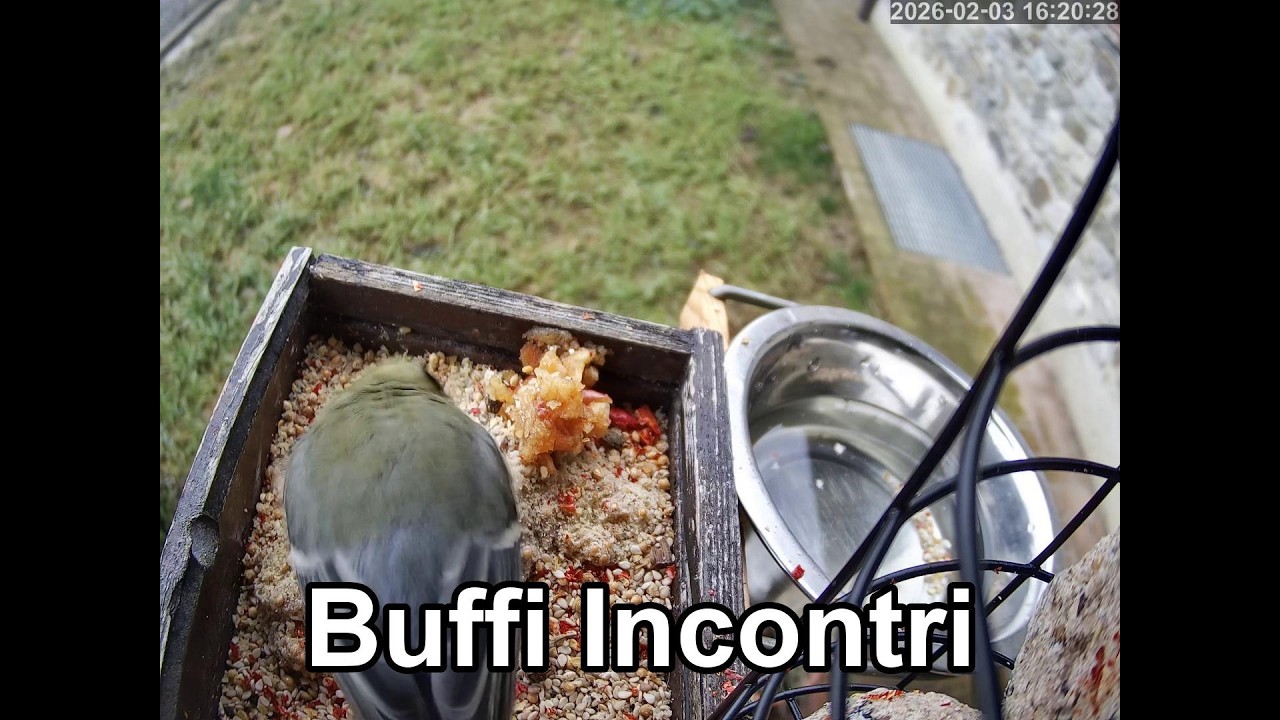 Pranzo tra la natura
