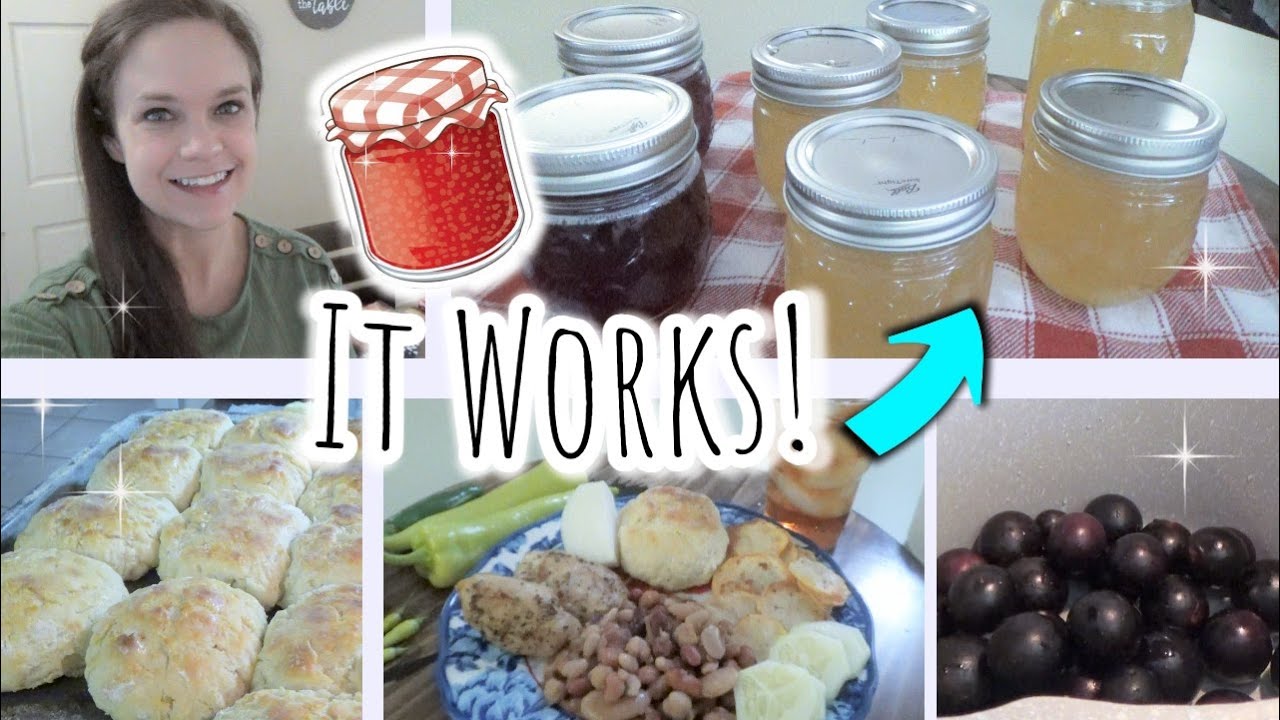 STEAM Canning MUSCADINE & APPLE Jelly in the INSTANT POT! | AFTERNOON IN A SOUTHERN KITCHEN