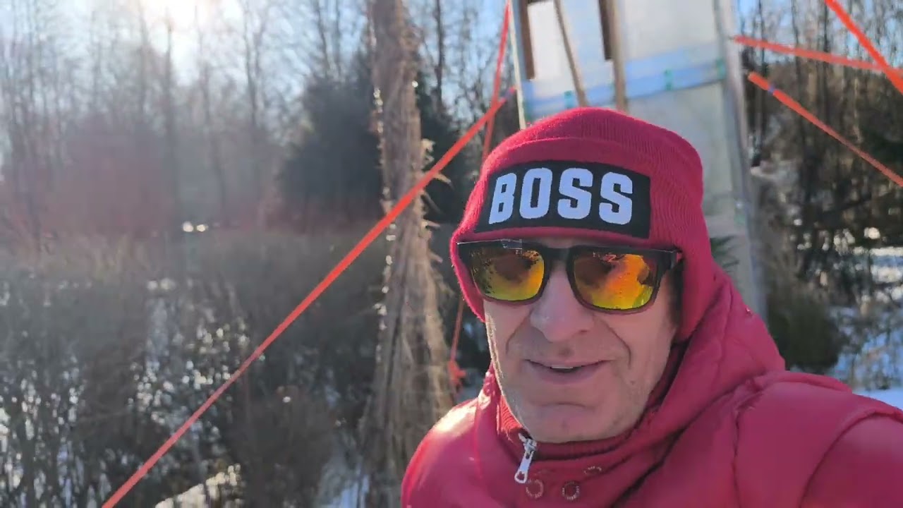Trachycarpus 🌴 super👌 bambusy na tom budou hůř 🥶🙈