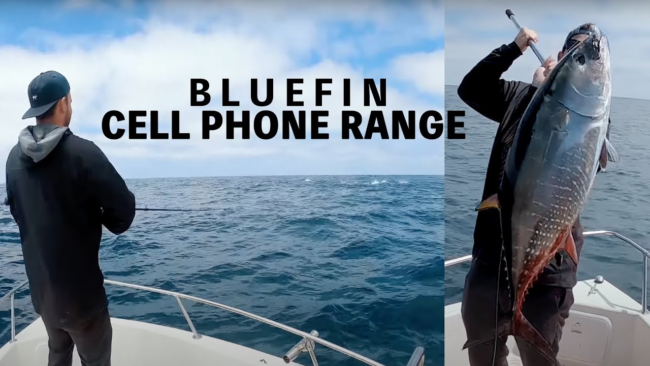 Foaming BLUEFIN @ 9 Mile Bank!