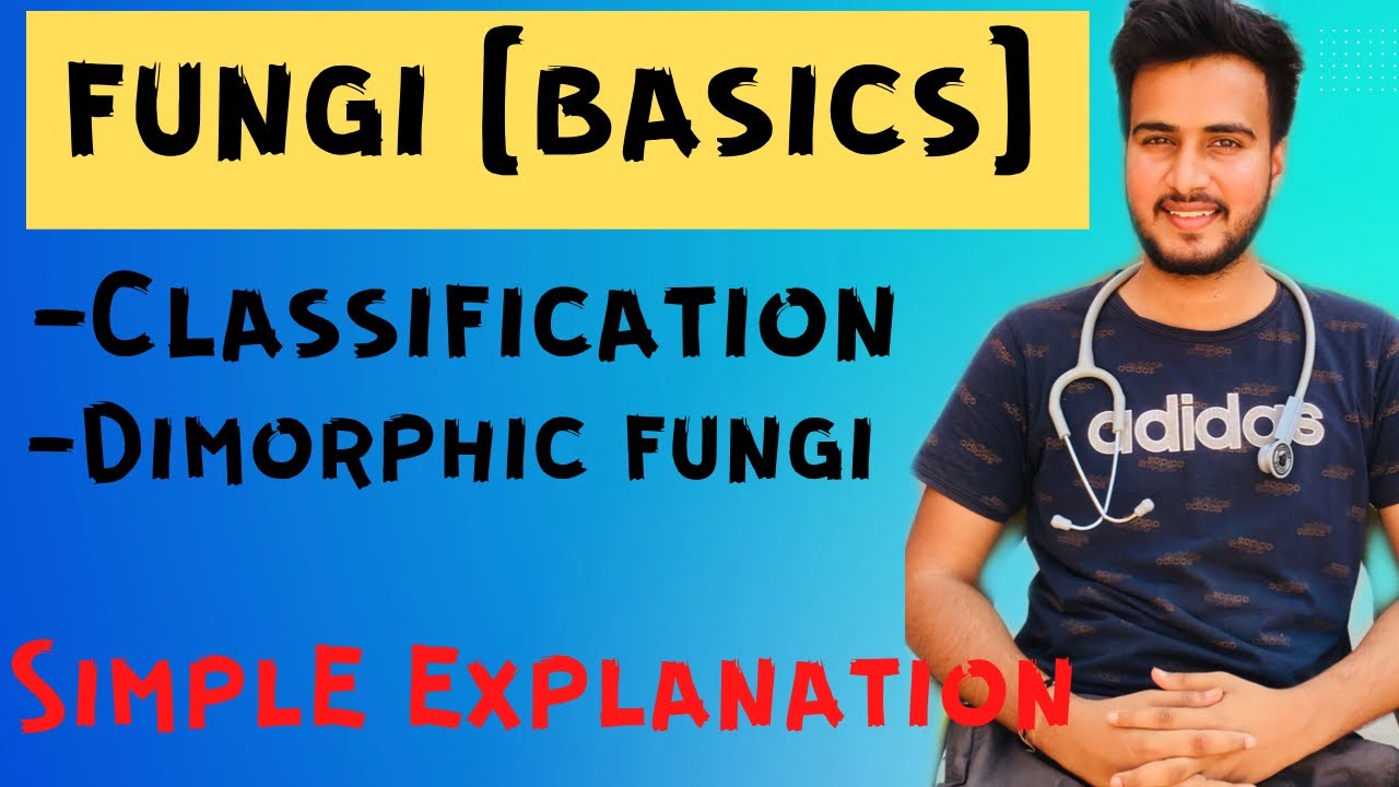 Fungi microbiology // classification of fungi // dimorphic  fungi // microbiology
