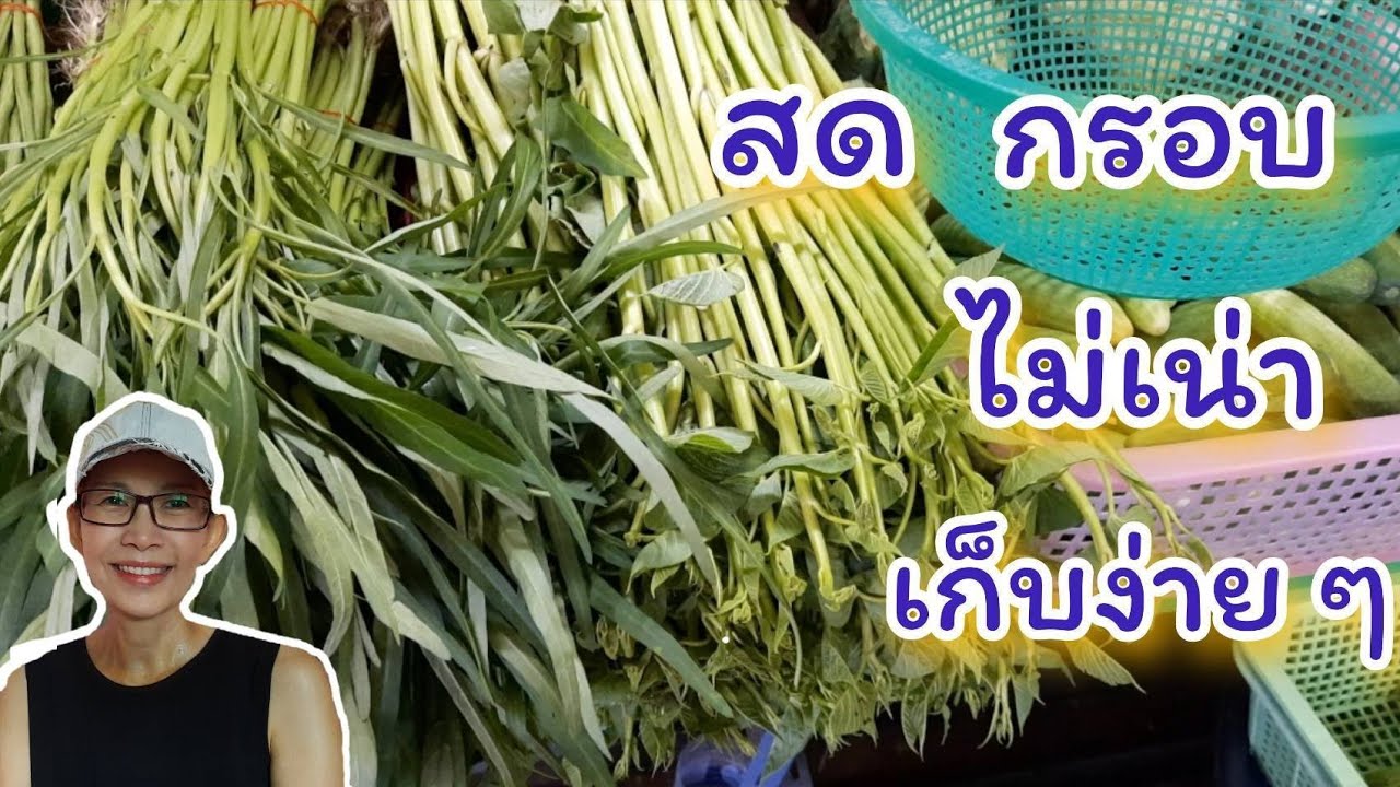 วิธีเก็บผักบุ้งให้อยู่ได้นาน & วิธีเก็บผักบุ้งจีน & ผักบุ้งจีน & วิธีเก็บผักบุ้งให้สด