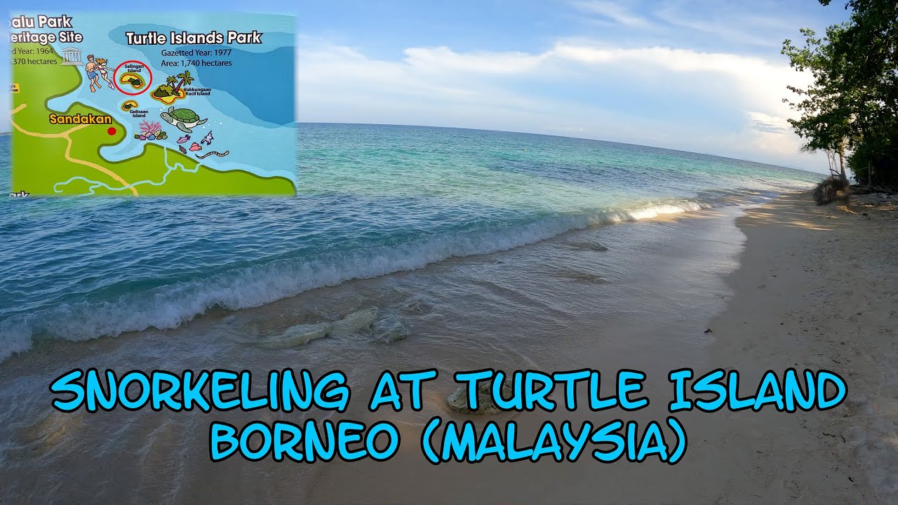 Turtle Island Snorkeling, Borneo - 29 April 2023 - 4K