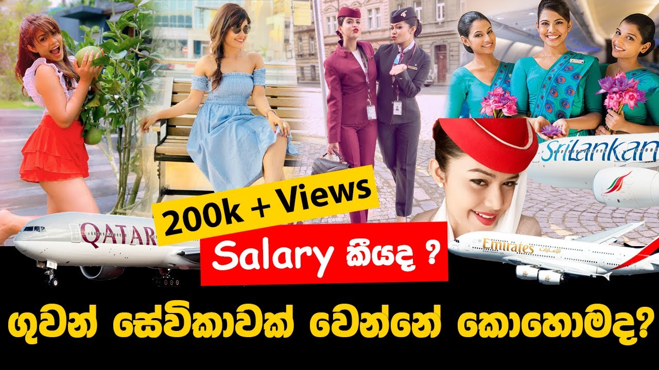මාසෙකට ලක්ෂ 10 ක් විතර හොයන ගමන් වියදම් නොකර ලොකේ වටේ යන්න ලැබෙන එකම job එක