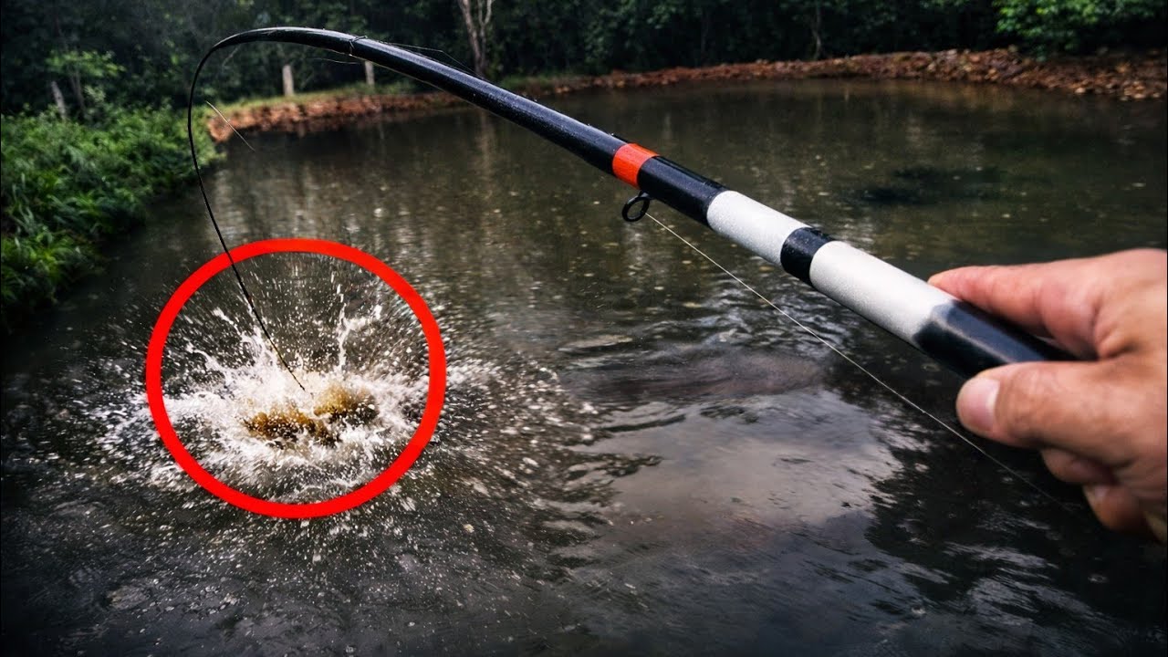 Que PEIXE era esse? Não acreditei nessa força 😱