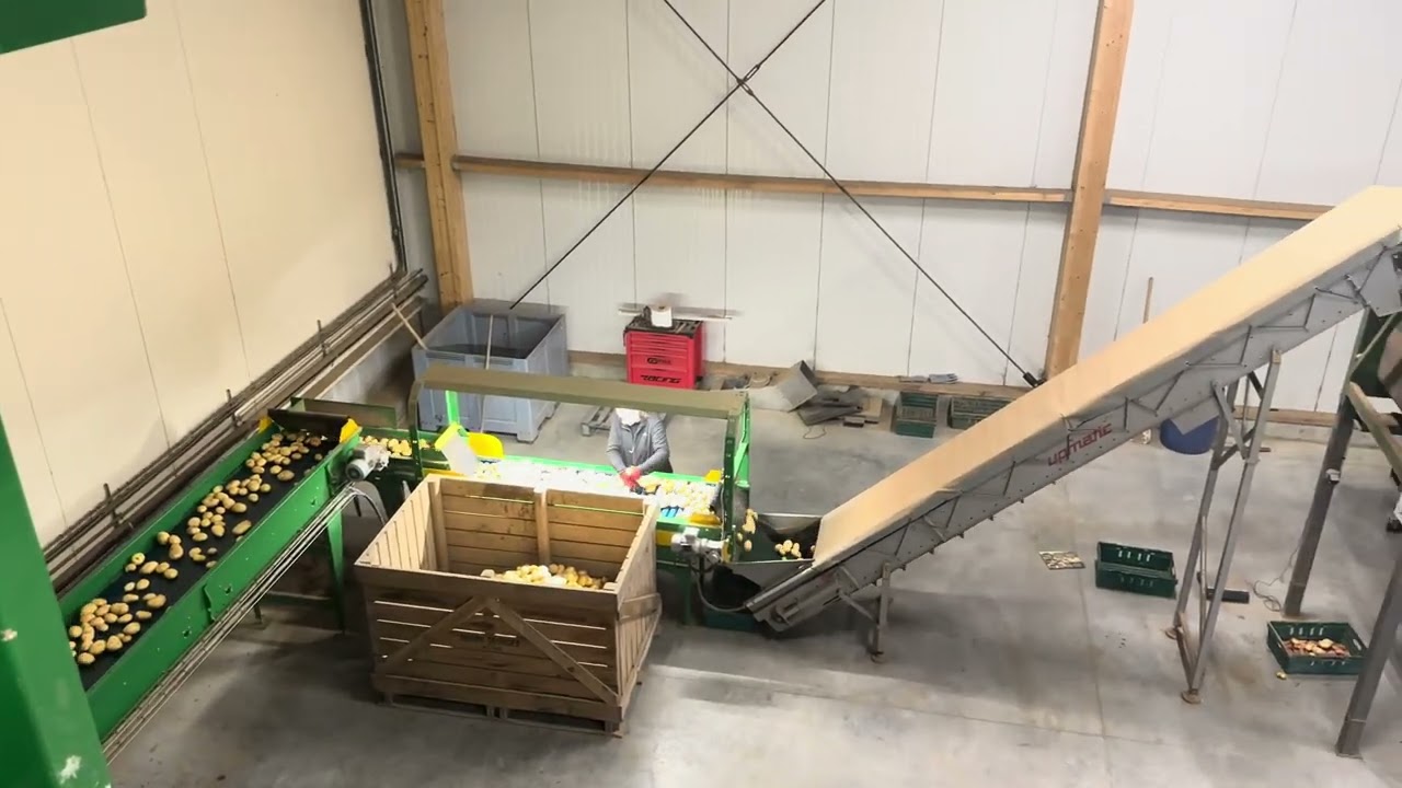 Trémie de stockage de Pomme de terre / Groupe Euro-Direct