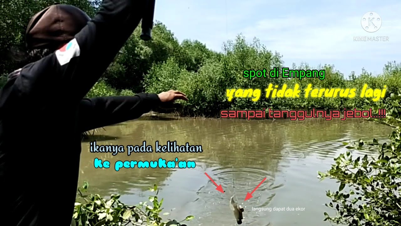 teknik liaran pake botol|| spot di tambak yang jebol||