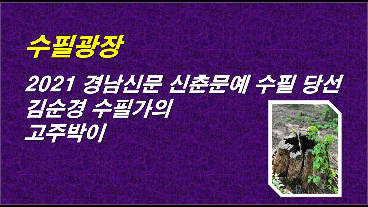 김순경의 고주박이, 2021 경남신문 신춘문예 수필, 자면서 듣는 감동적인 이야기