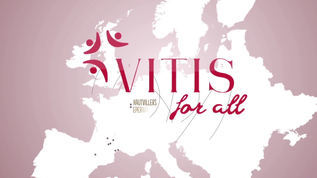 Hautvillers   Vitis4All English version