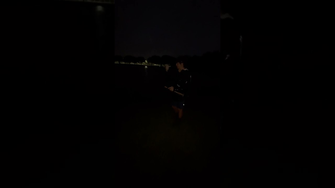 #hiphop #newmusic #artist #whitebassrun #freshwaterfish #whiteseabass #lofihiphop #fish