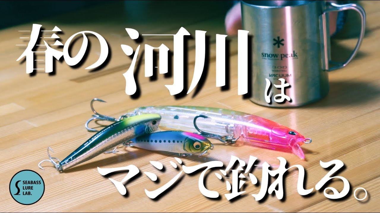 【春シーバス】やっぱり河川に行こう！【釣れる】