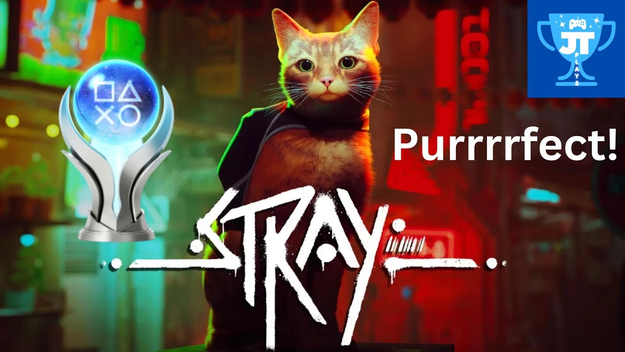 «Платина» от Stray была просто объедение!