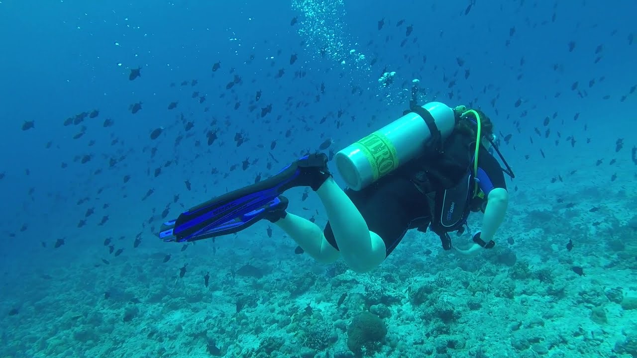 Diving Maldives 2018 Baa Atoll - Kihaa