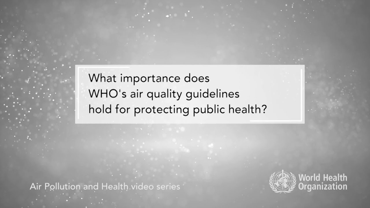Module 1: What importance does WHO&rsquo;s air quality guidelines hold for protecting public health?