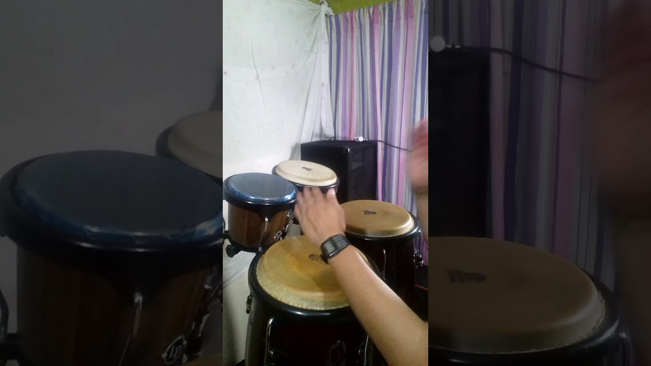 LOS PAJARITOS HUAPANGO EN CONGAS POR VLADIMIR