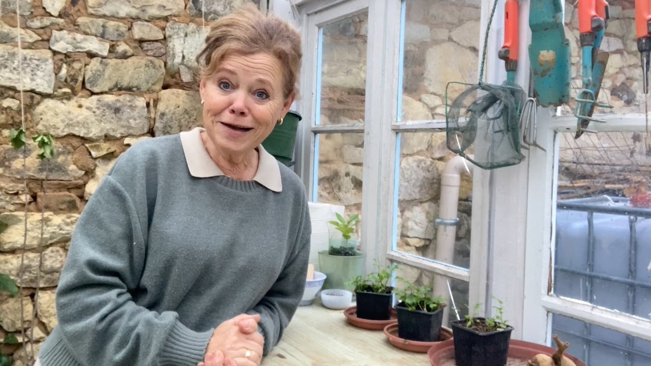 Ini's Moestuin #37   Druif snoeien, wisselteelt toepassen, dus hoe je groenten moet rouleren.