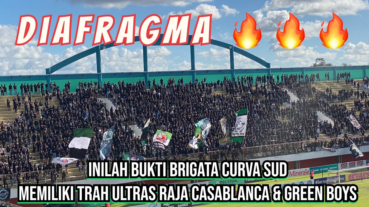 Suara Perut BCS 11/12 Ultras Raja Casablanca & Green Boys Klub dari Marocco