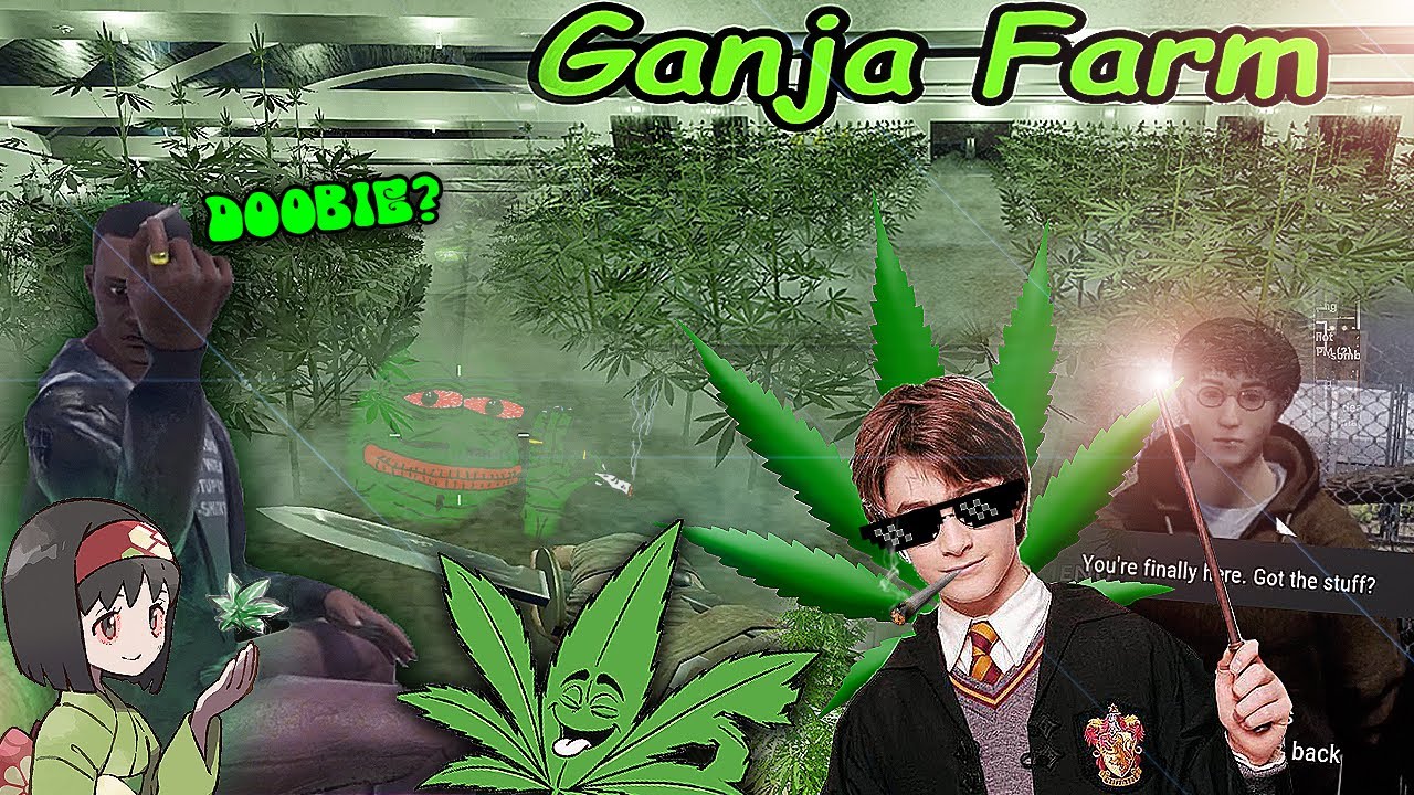 420