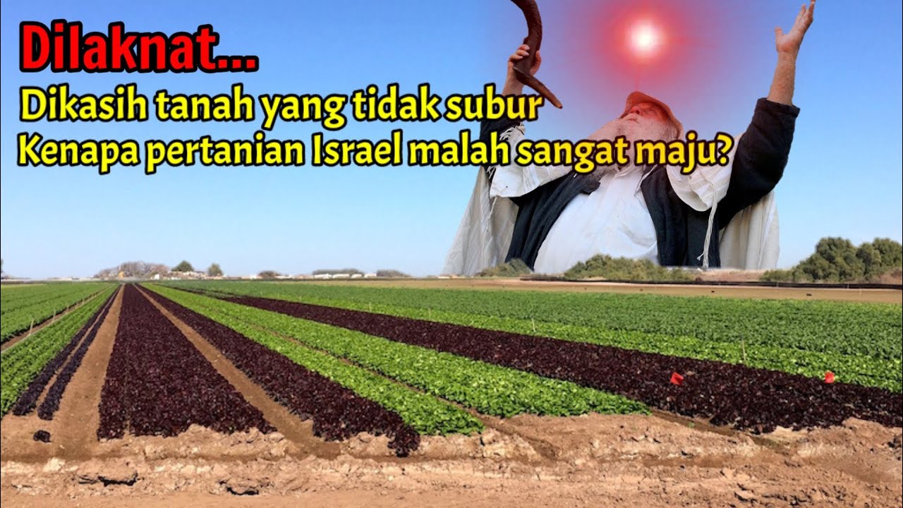Kenapa pertanian Yahudi begitu hebat?