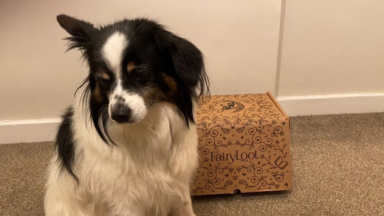 Fairyloot YA Unboxing - July 2025