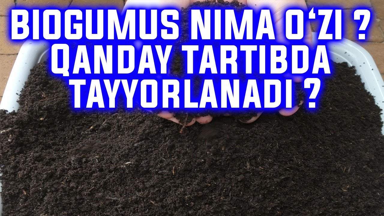 БИОГУМУС НИМА ЎЗИ ? Қандай тартибда тайёрланади ? Барча жараёнлари хақида маълумотлар видеолавхаси.
