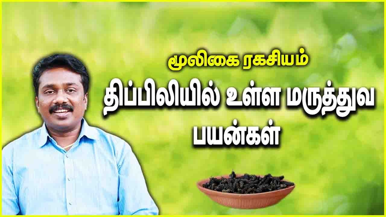 திப்பிலியில் உள்ள மருத்துவ பயன்கள் மூலிகை மருந்து|  Mooligai Ragasiyam | Dr.Sugumar | @megatvindia
