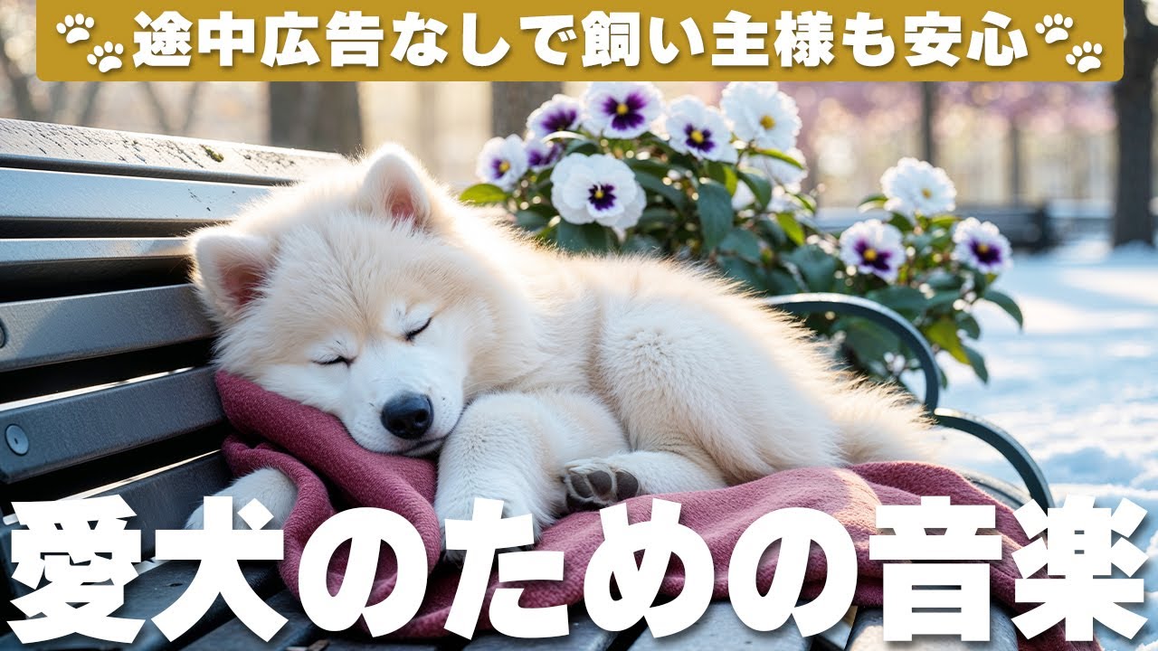 犬が落ち着く音楽 (12時間広告なし) 🐶 愛犬の癒しの音楽 | 分離不安解消 / vol.734
