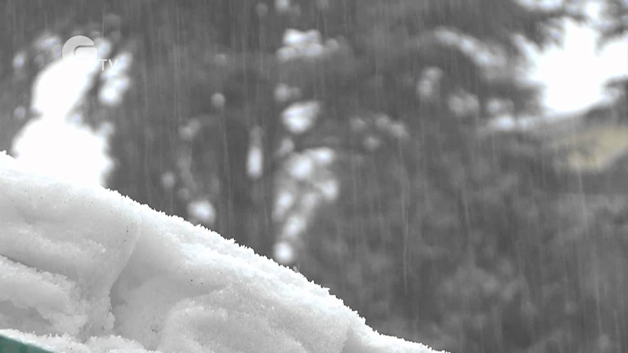Bitter cold sweeps through Northern India - Extreme Weather