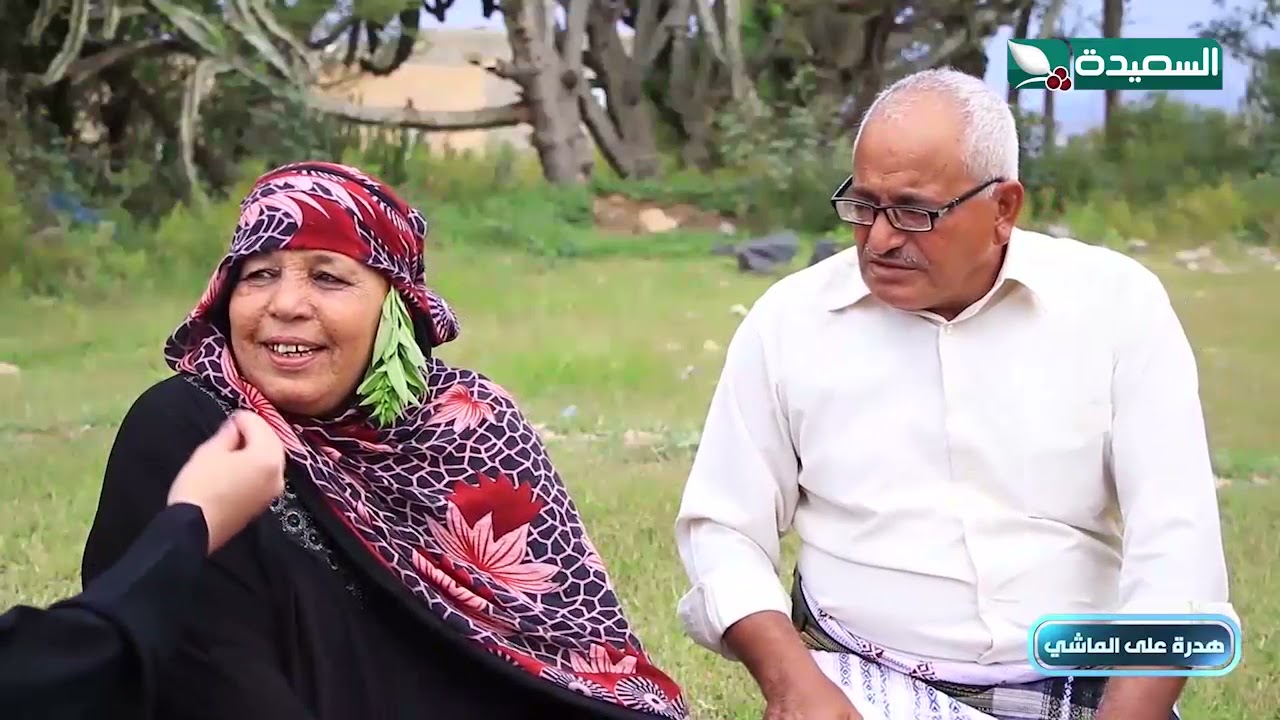 قصة حب من الزمن الجميل #طائر_السعيدة3