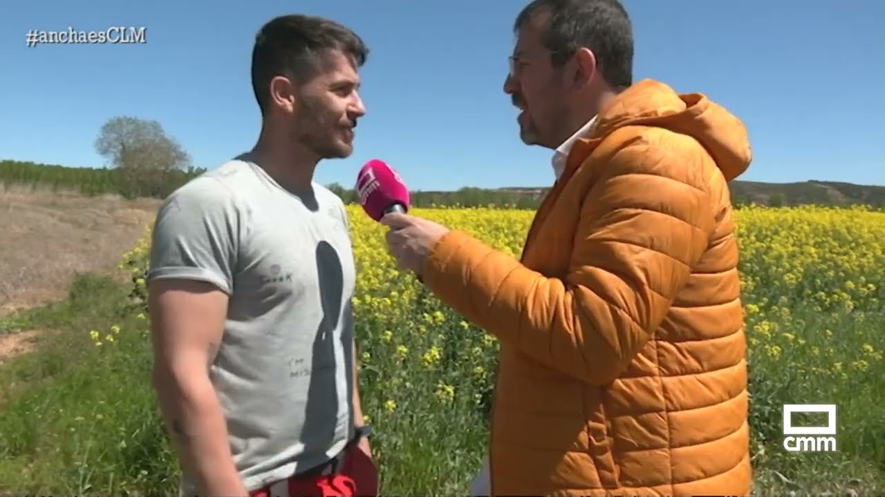 El amarillo conquista el campo de Yunquera de Henares | Ancha es Castilla-La Mancha